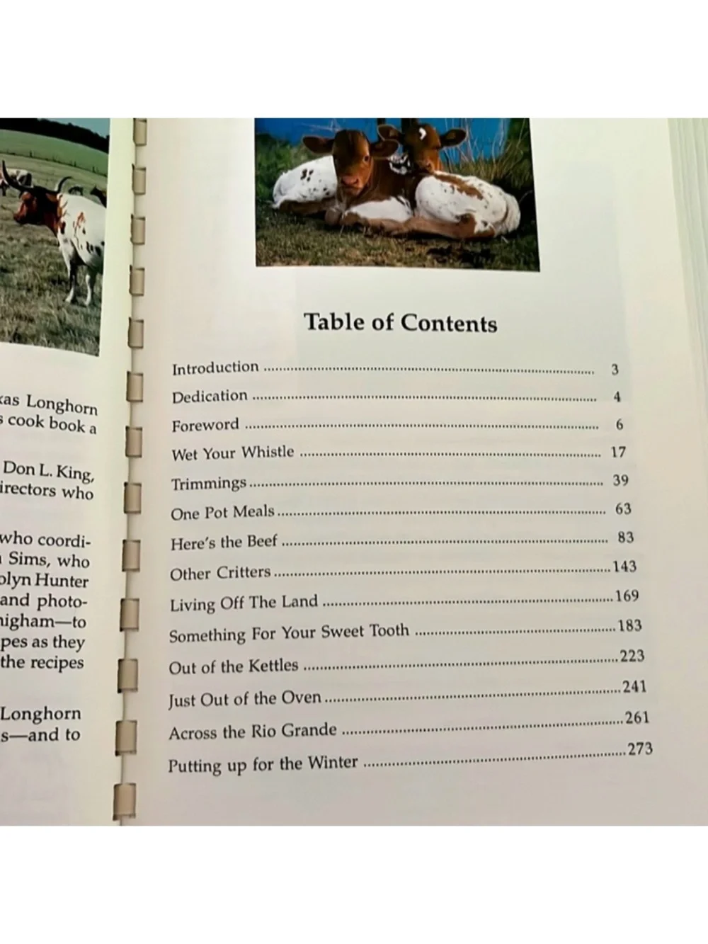 Texas Longhorn Cookbook and Campfire Tales texas longhorn